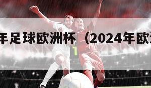2034年足球欧洲杯（2024年欧洲杯足球场）